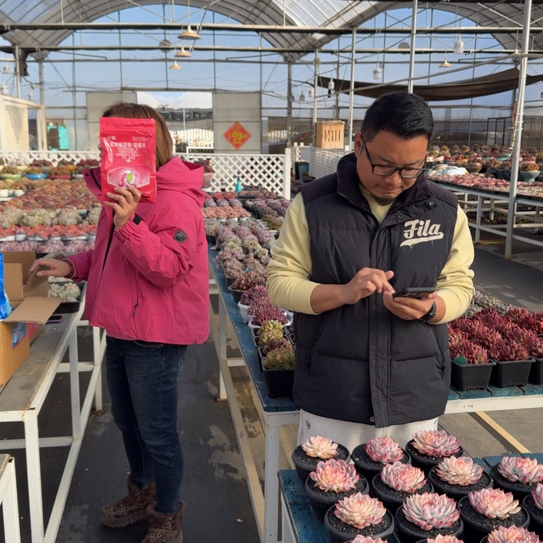 从前慢花园多肉编号-小粉福利