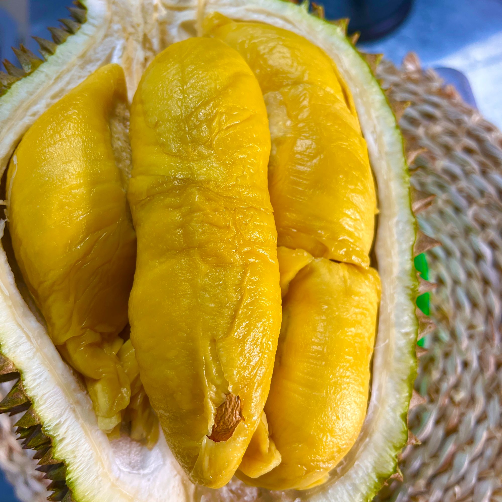 【马来鲜果D197A果】尝鲜之选 精选彭亨州鲜果猫山王D197 