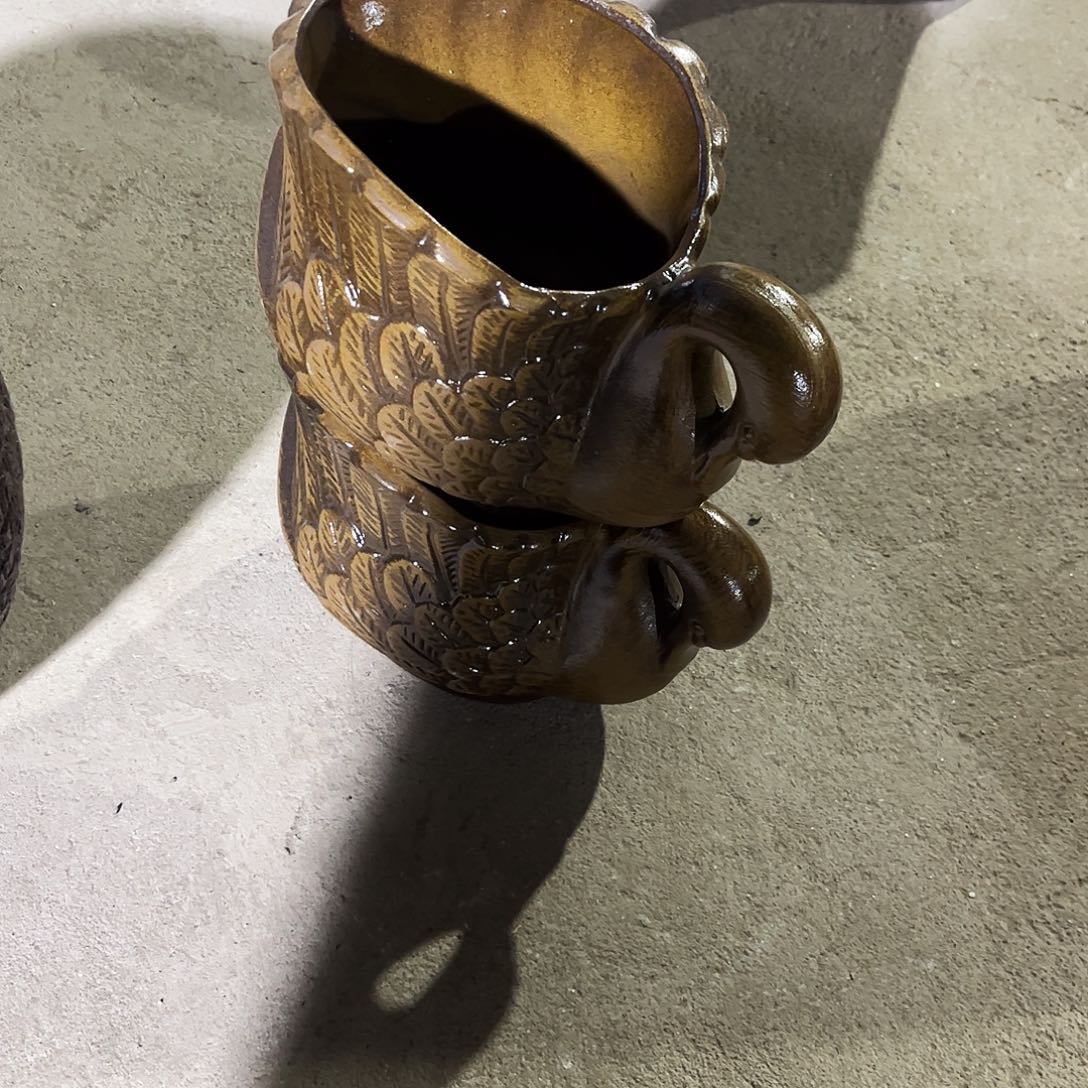 紫砂花盆里的小猫咪