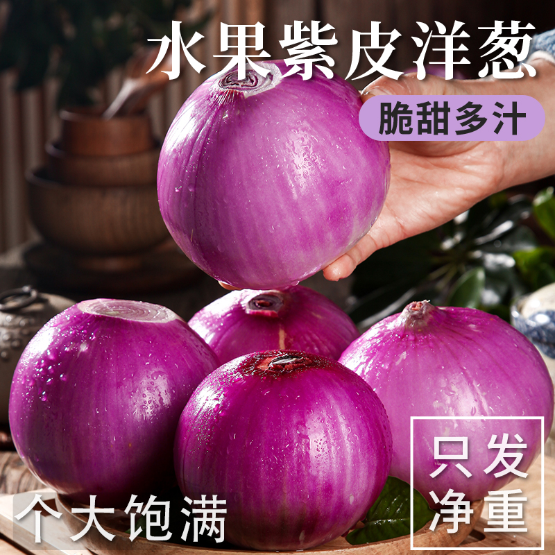 新鲜水果洋葱新鲜现挖水果扁洋葱蔬菜正宗扁红洋葱脆甜生吃微甜