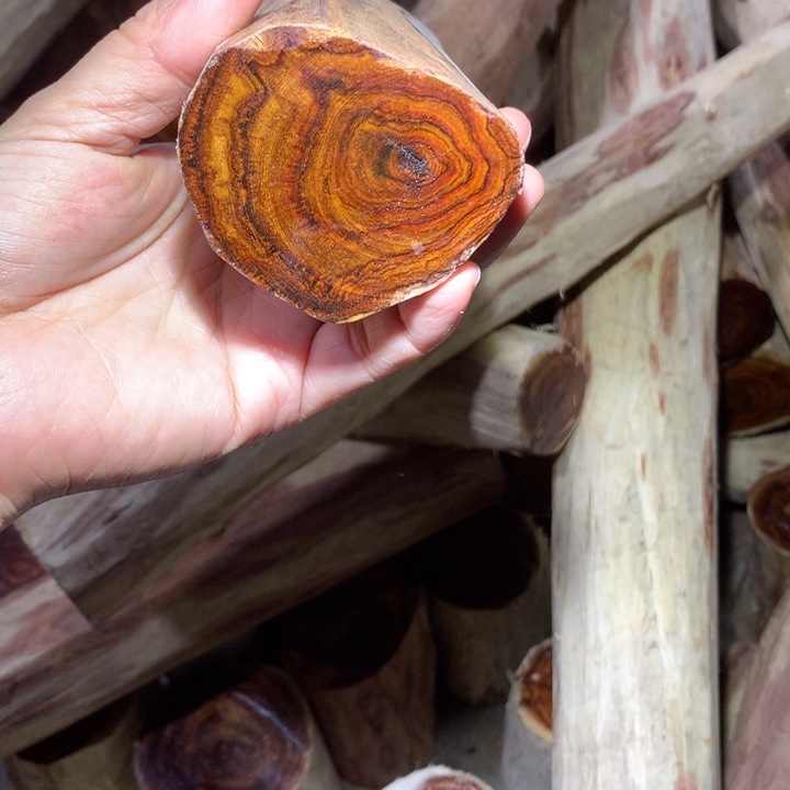 浮***生花梨木类海南黄花梨