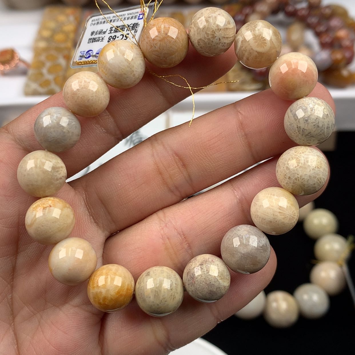 【闪购商品】硅化珊瑚（珊瑚玉）未镶嵌手链