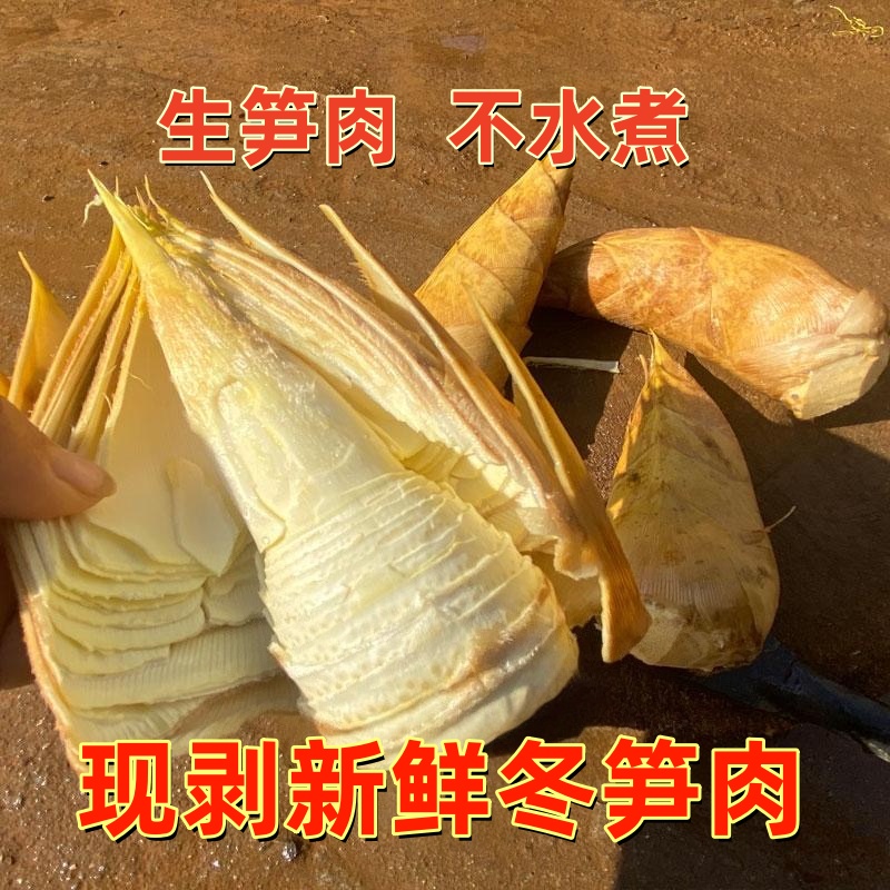 新鲜冬笋高山黄泥拱两头尖竹笋福建浙江应季蔬菜去壳现剥冬笋肉