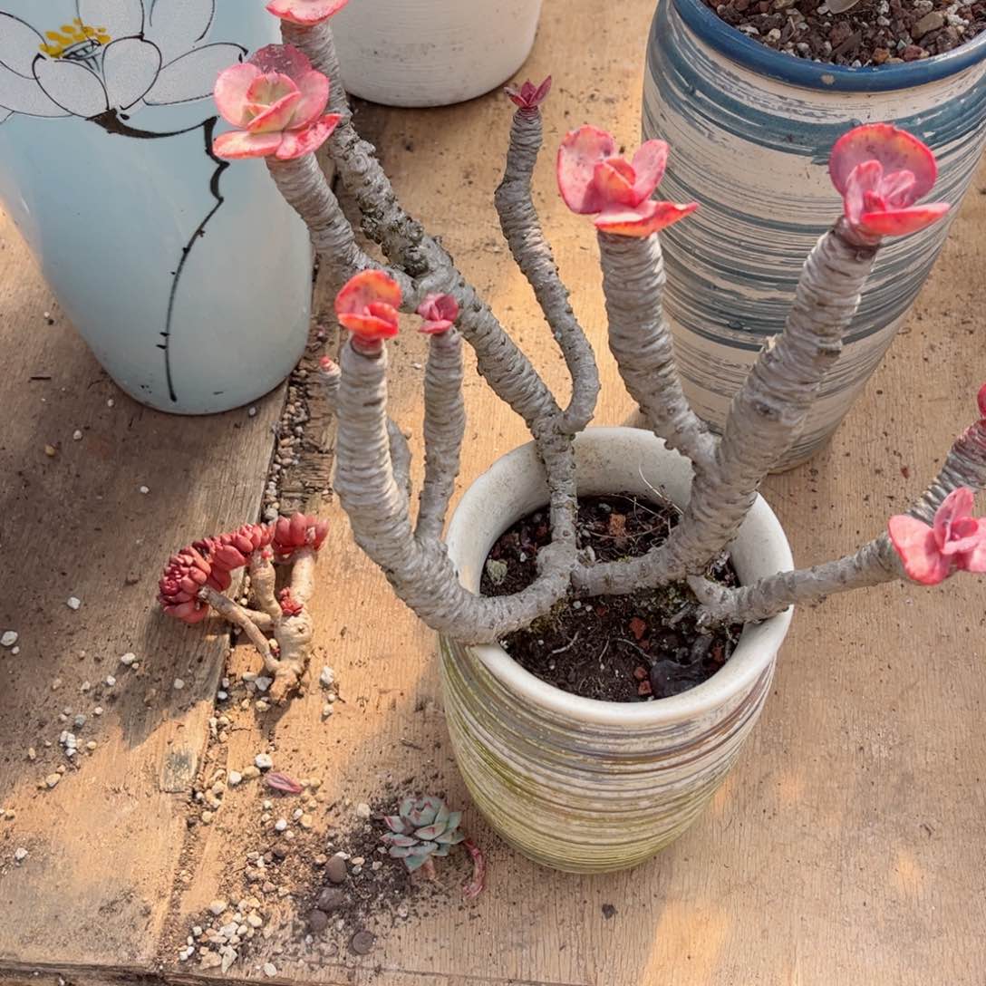 你在家等着＂我在。你的电话