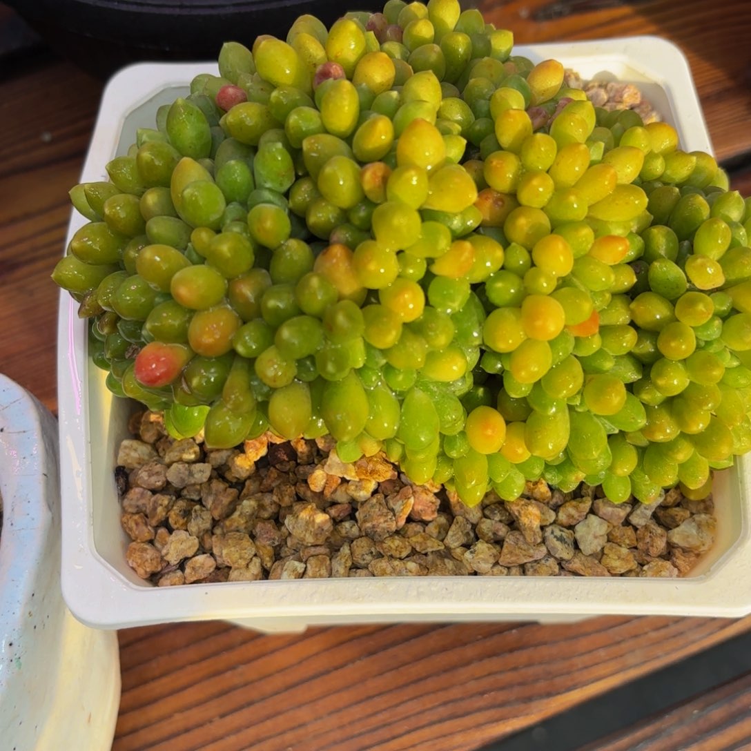 Hjjjjjkkkkkkjkknnnnnmmmmnnmmmm