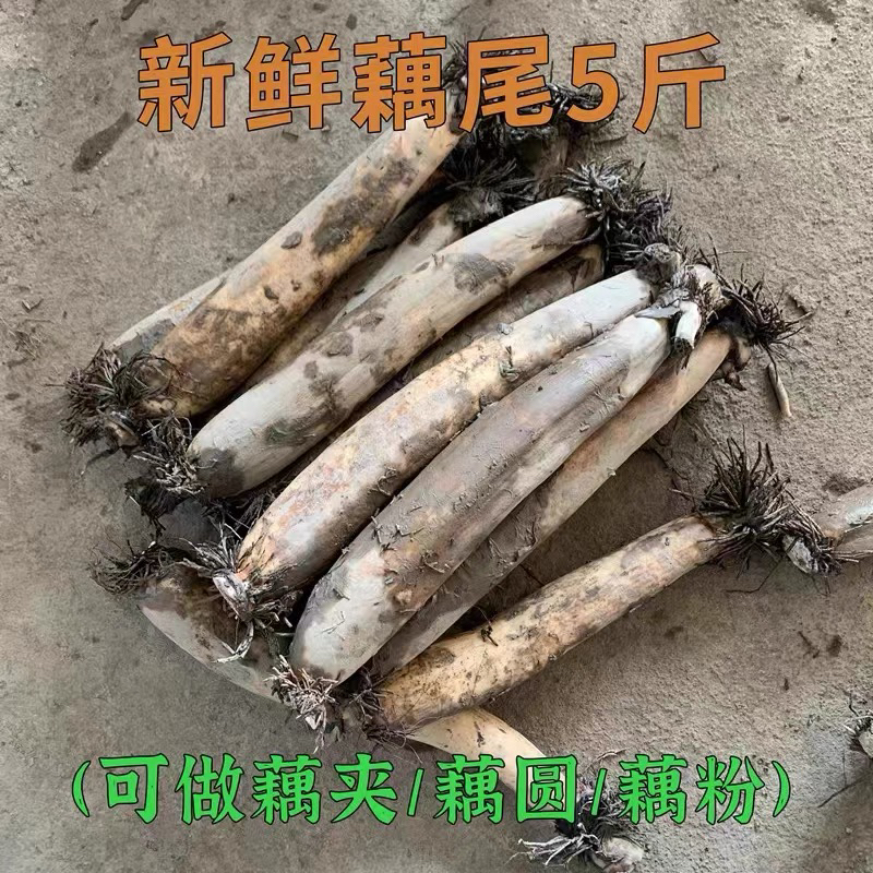 藕尾 适合藕夹 藕丸子 藕粉 做馅料