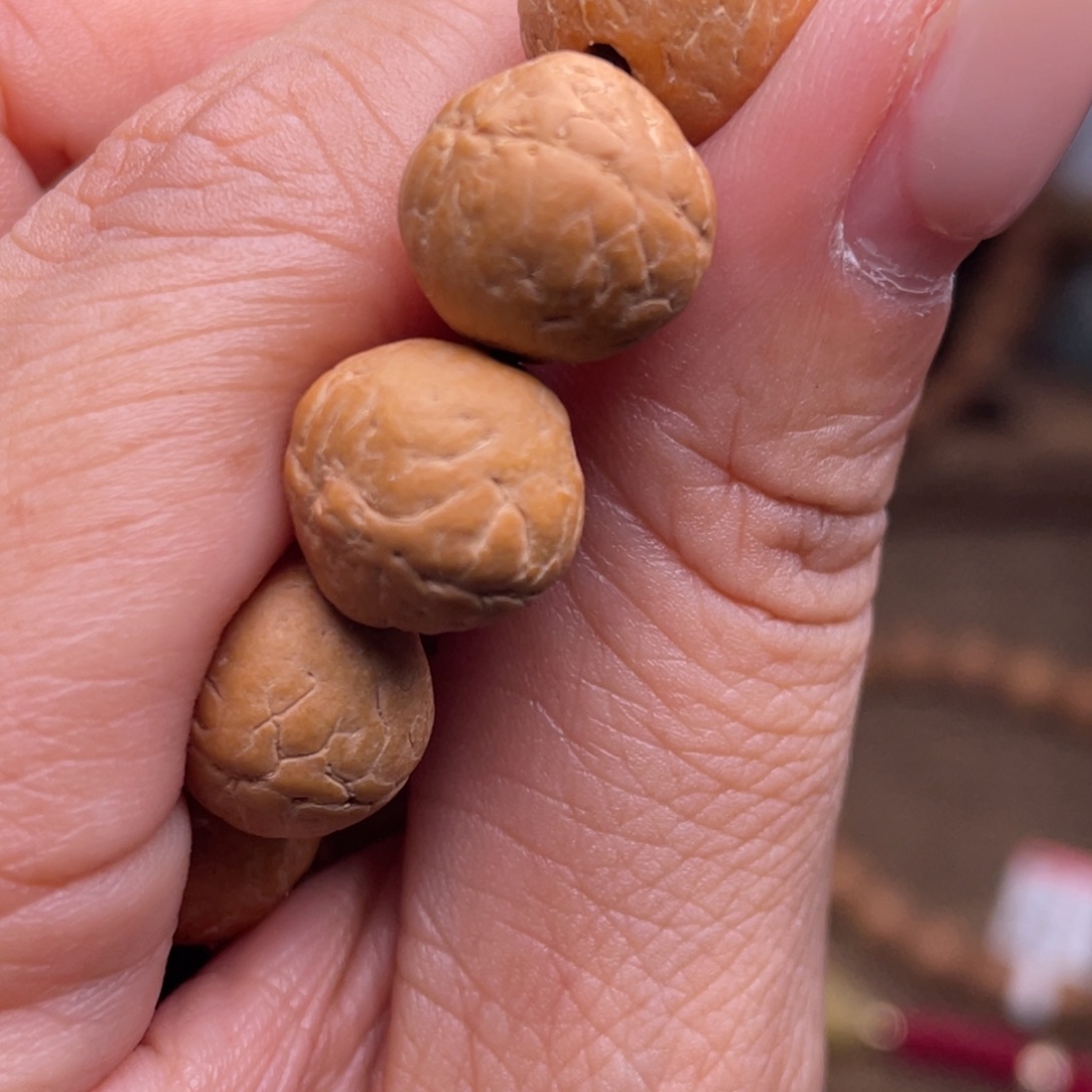 凤眼菩提手串菩提601