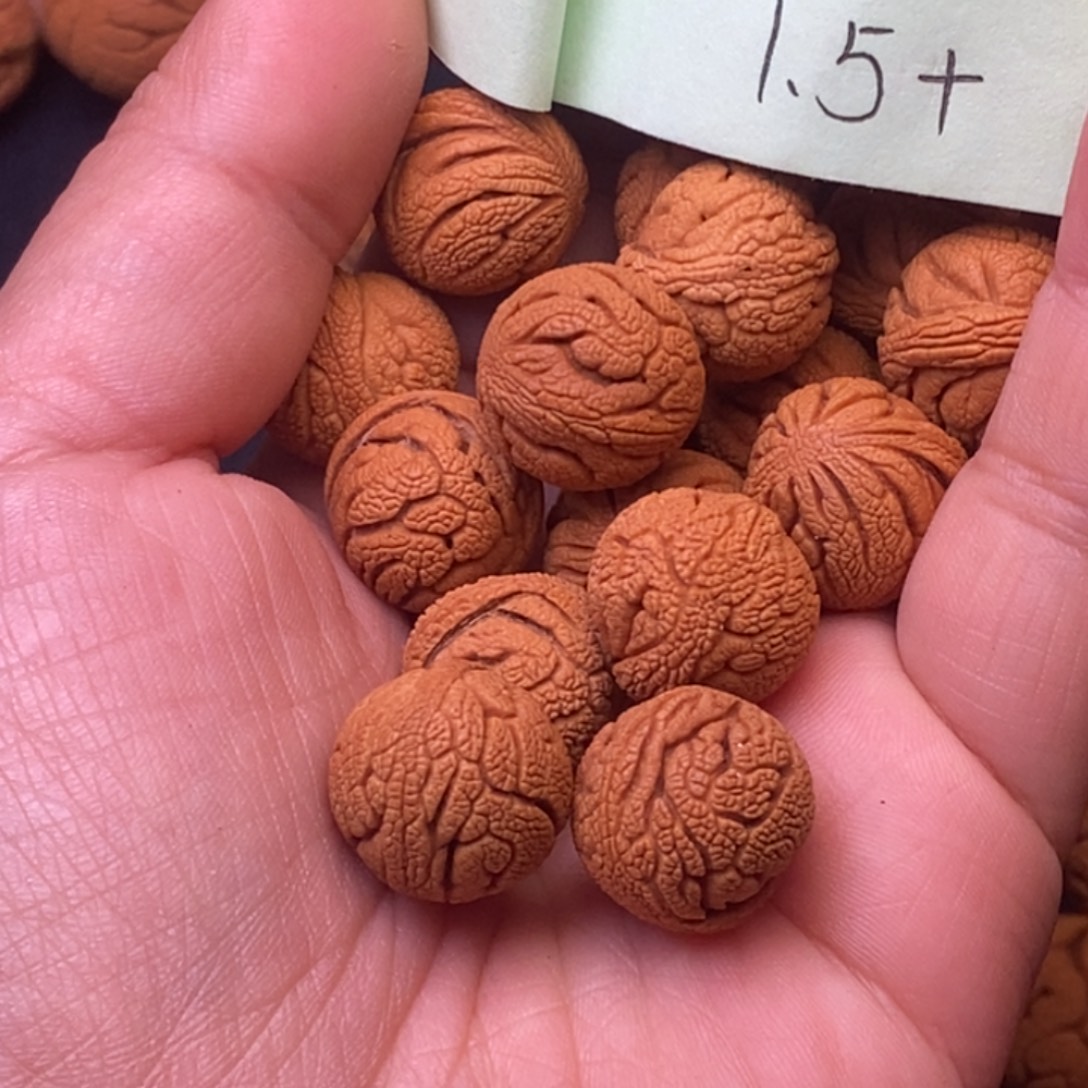 秦岭龙纹桃核16颗