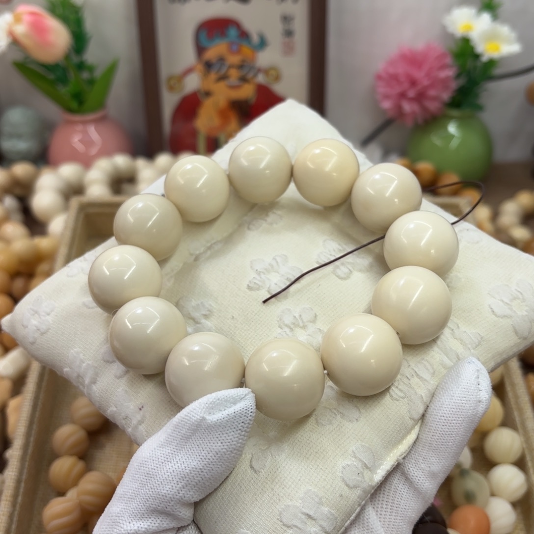 菩提根/象牙果吊坠24干磨微瑕牙果圆珠708