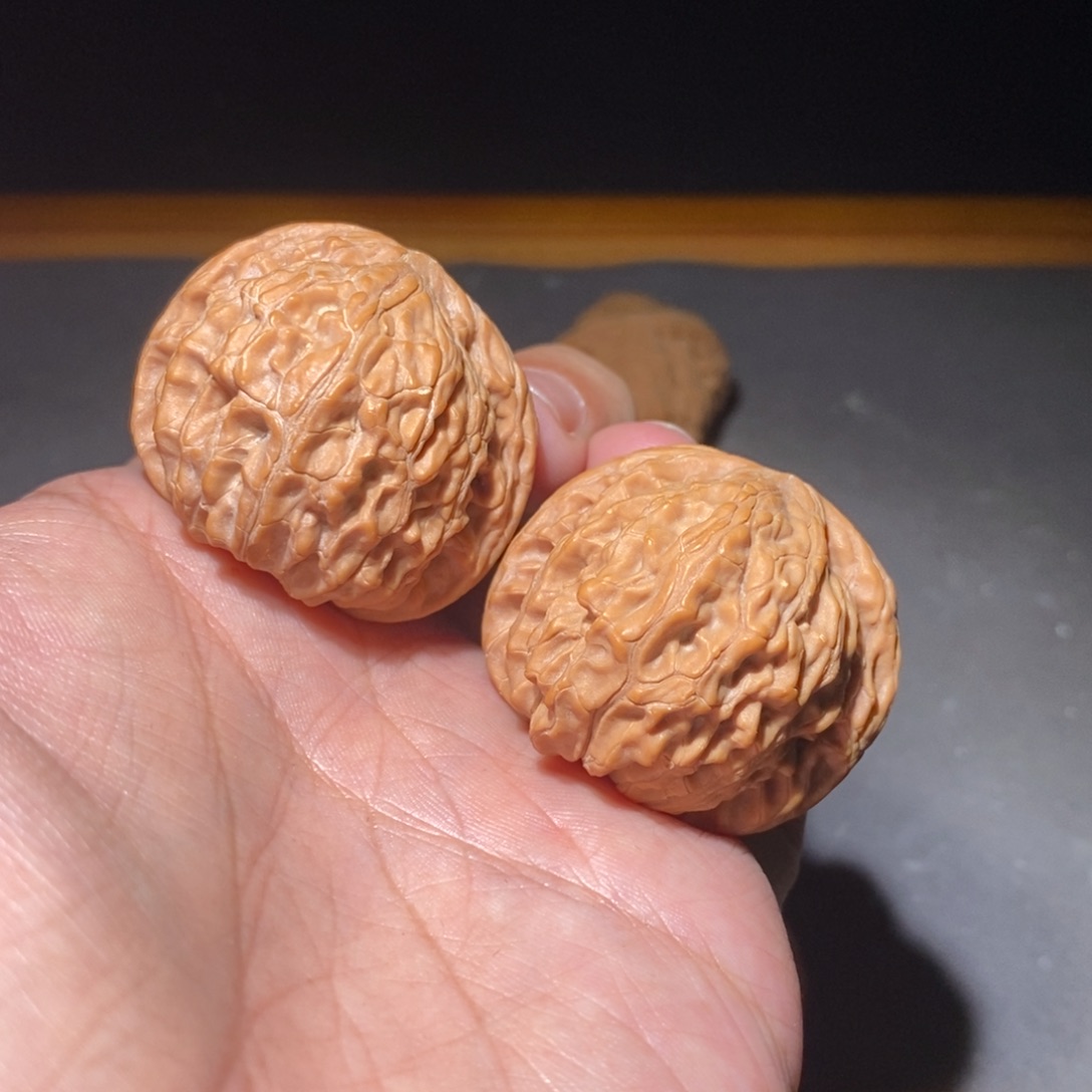 紫檀柳39山西磨盘