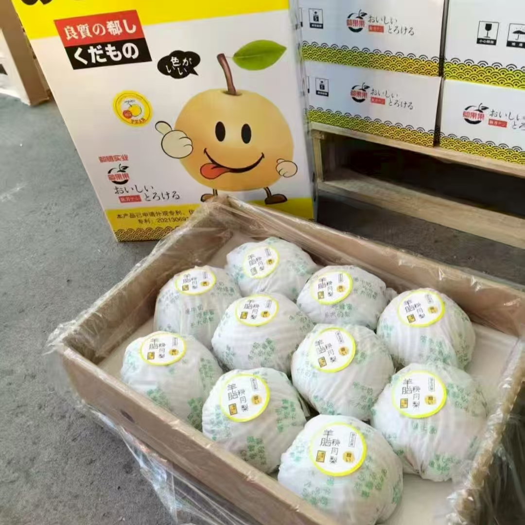 当季新鲜郗果果羊脂秋月梨脆甜梨净重7斤以上10粒装礼盒装 顺/京