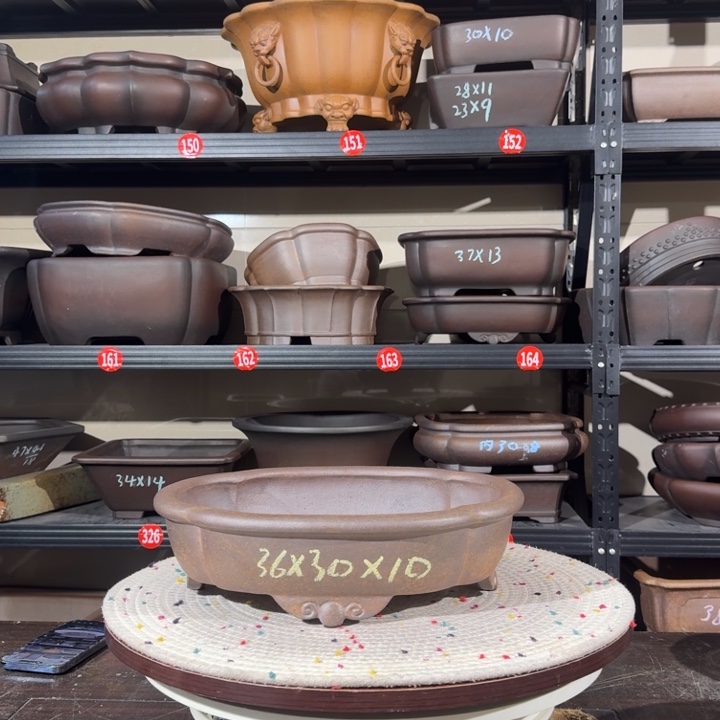 花盆紫砂呜呜我好喜欢