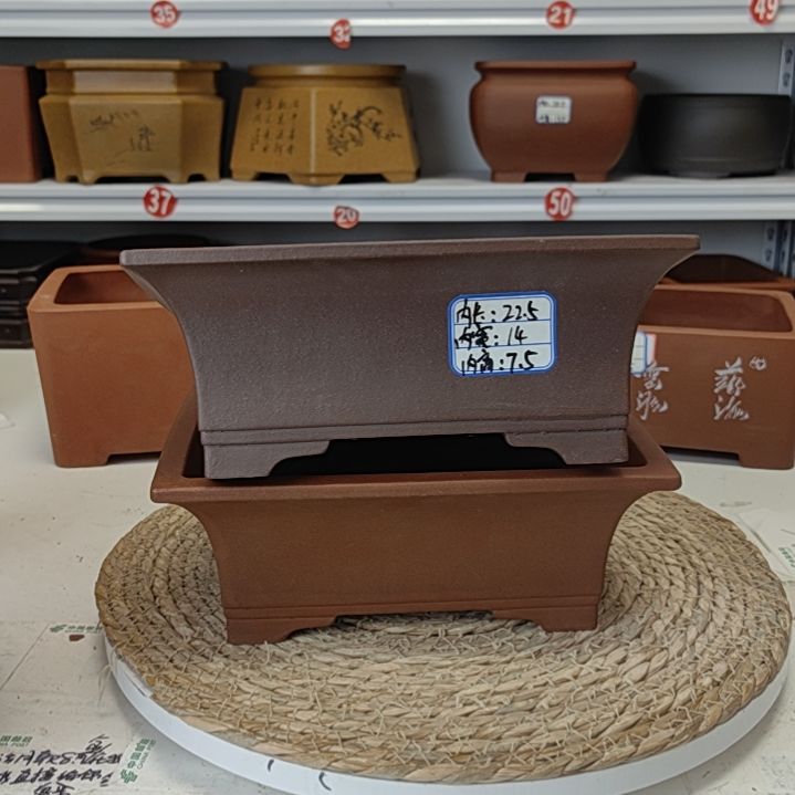 紫砂花盆今天下午