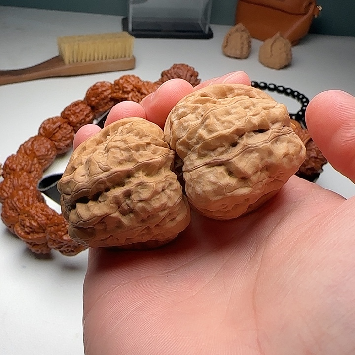 38-41-35肉蛙蟾型好1号