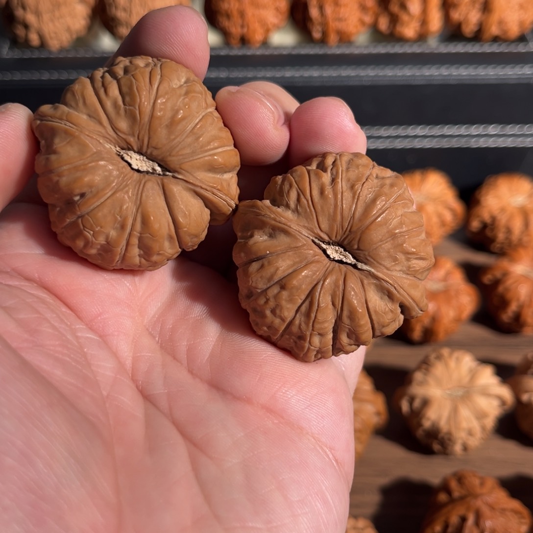 手串/手链核桃43全品毕业南瓜墩