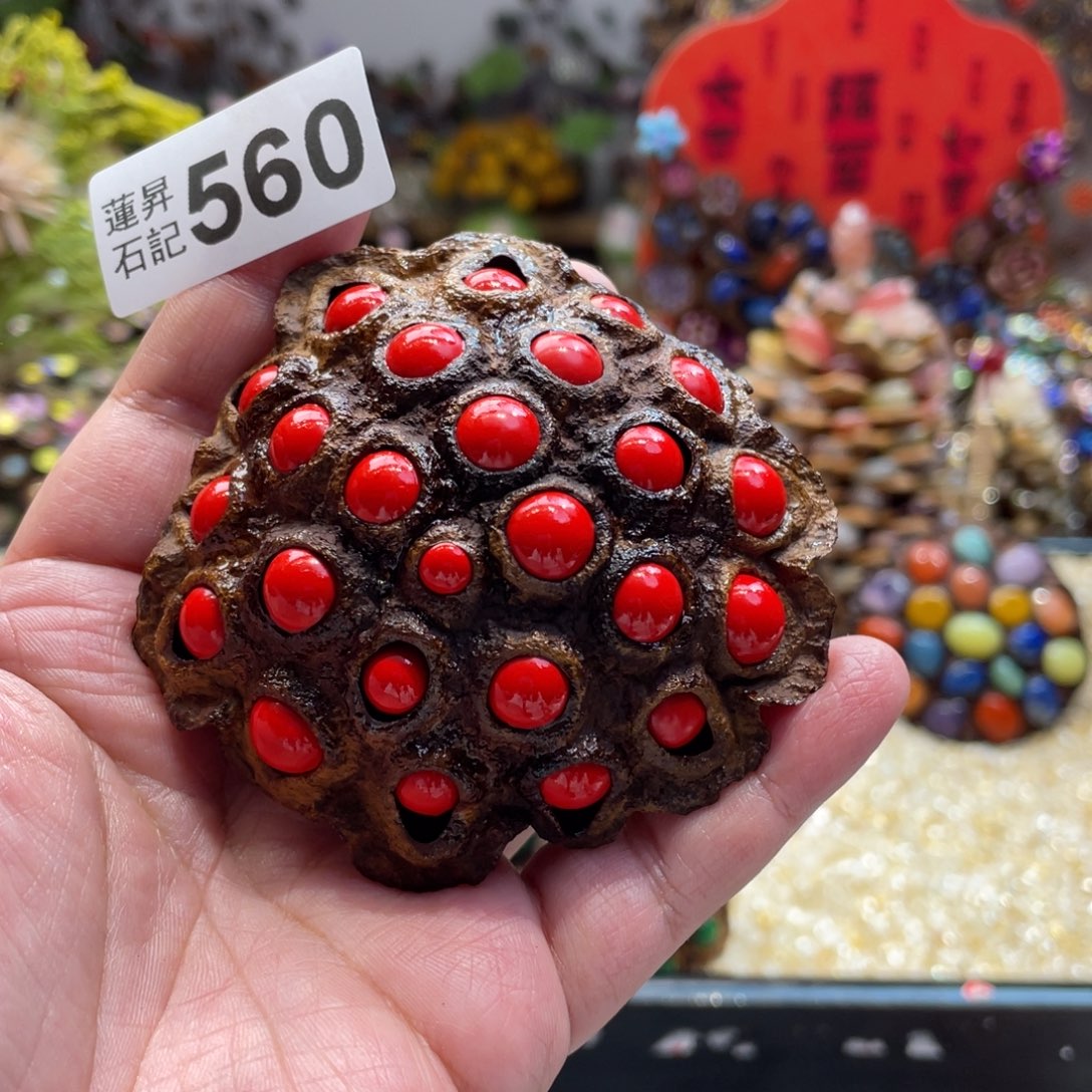 核桃木/黑胡桃（胡桃木）胖*鲁560