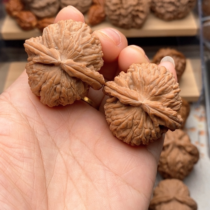 把件核桃文玩核桃白狮子