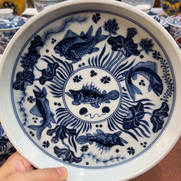 ……………………………………………………………………