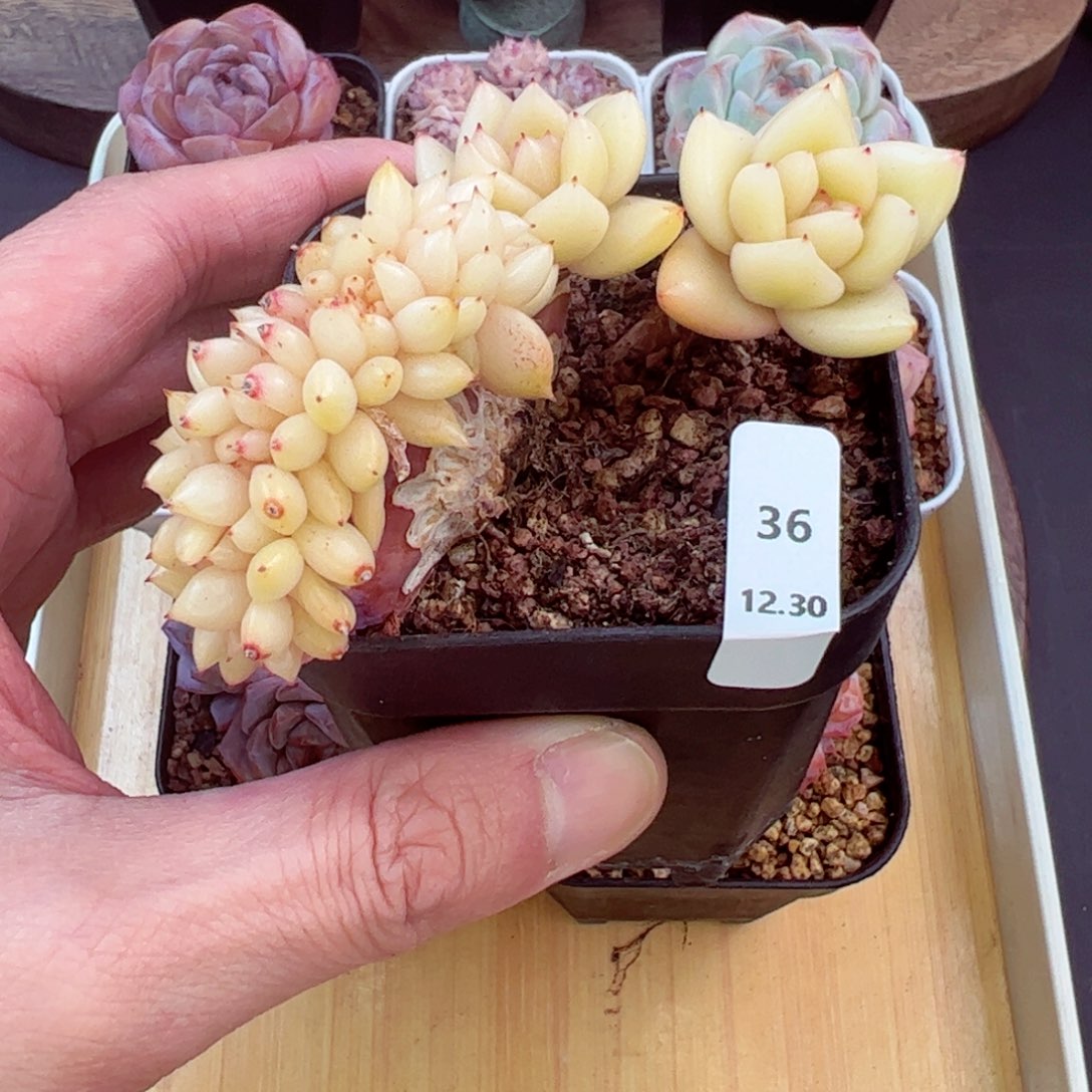 好好看36、哈哈哈哈