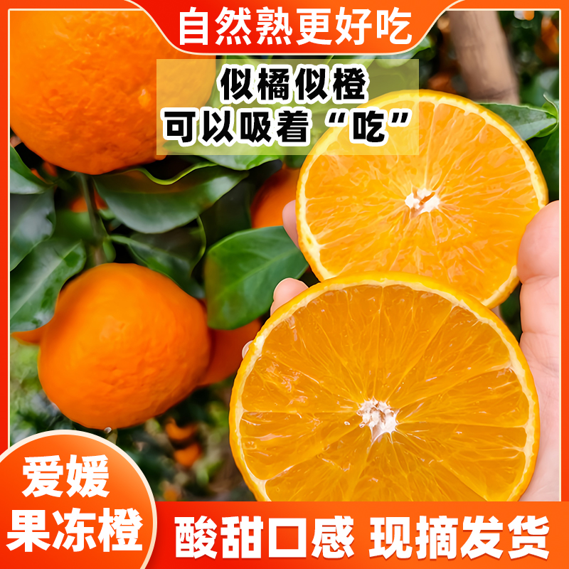 四川爱媛38号果冻橙新鲜应季手剥橙子酸甜爽口皮薄爆汁产地直发