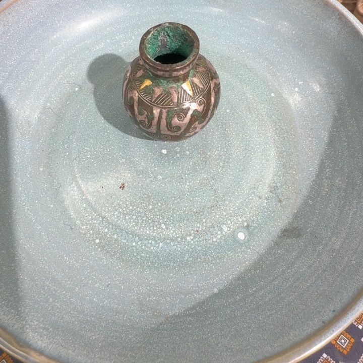 茶宠明*888888888888888