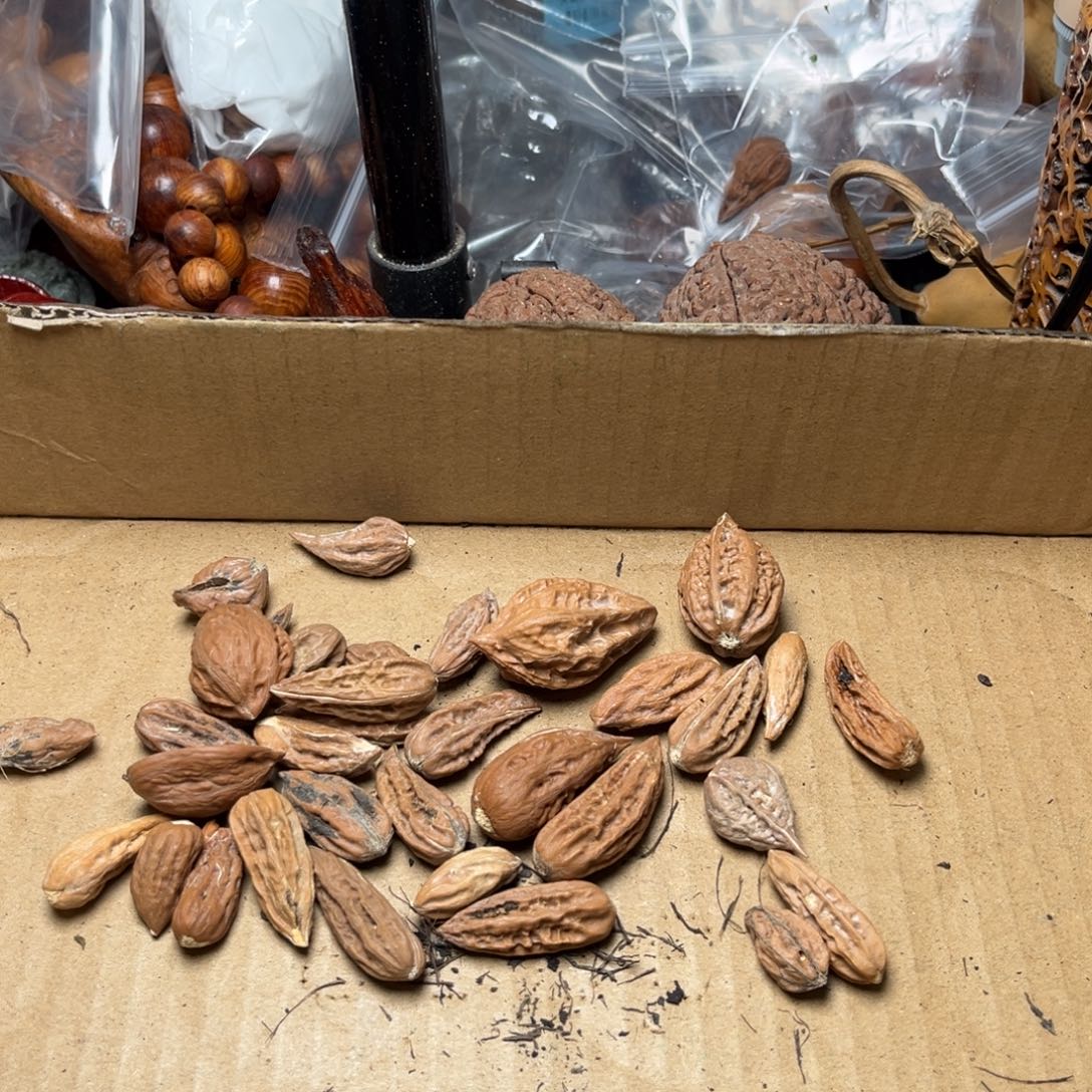 手串文玩核桃瑕疵12