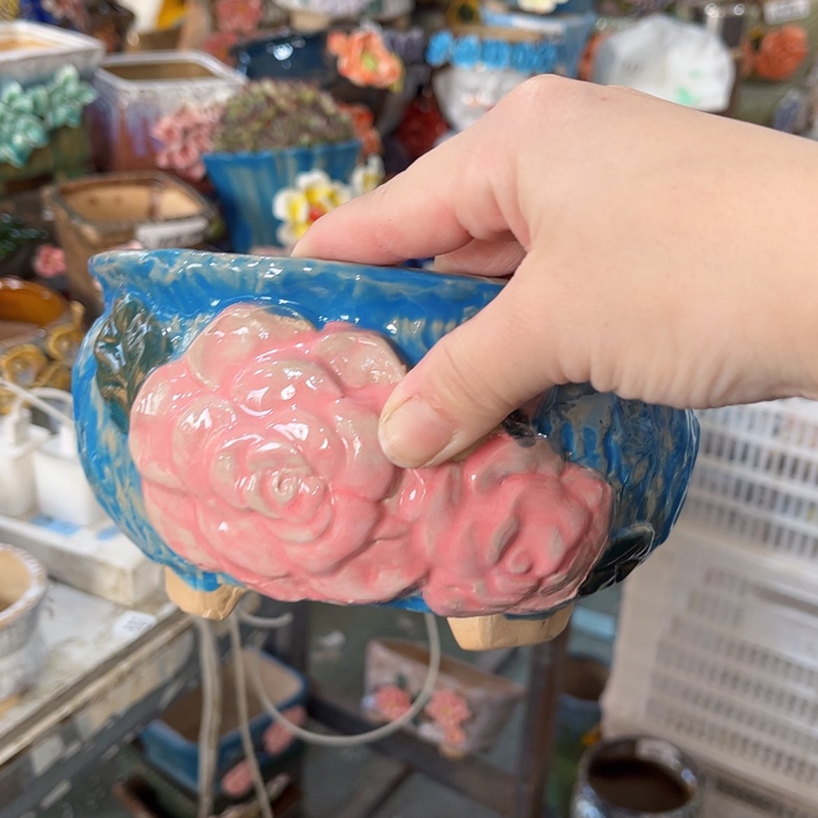 【闪购商品】红陶福利