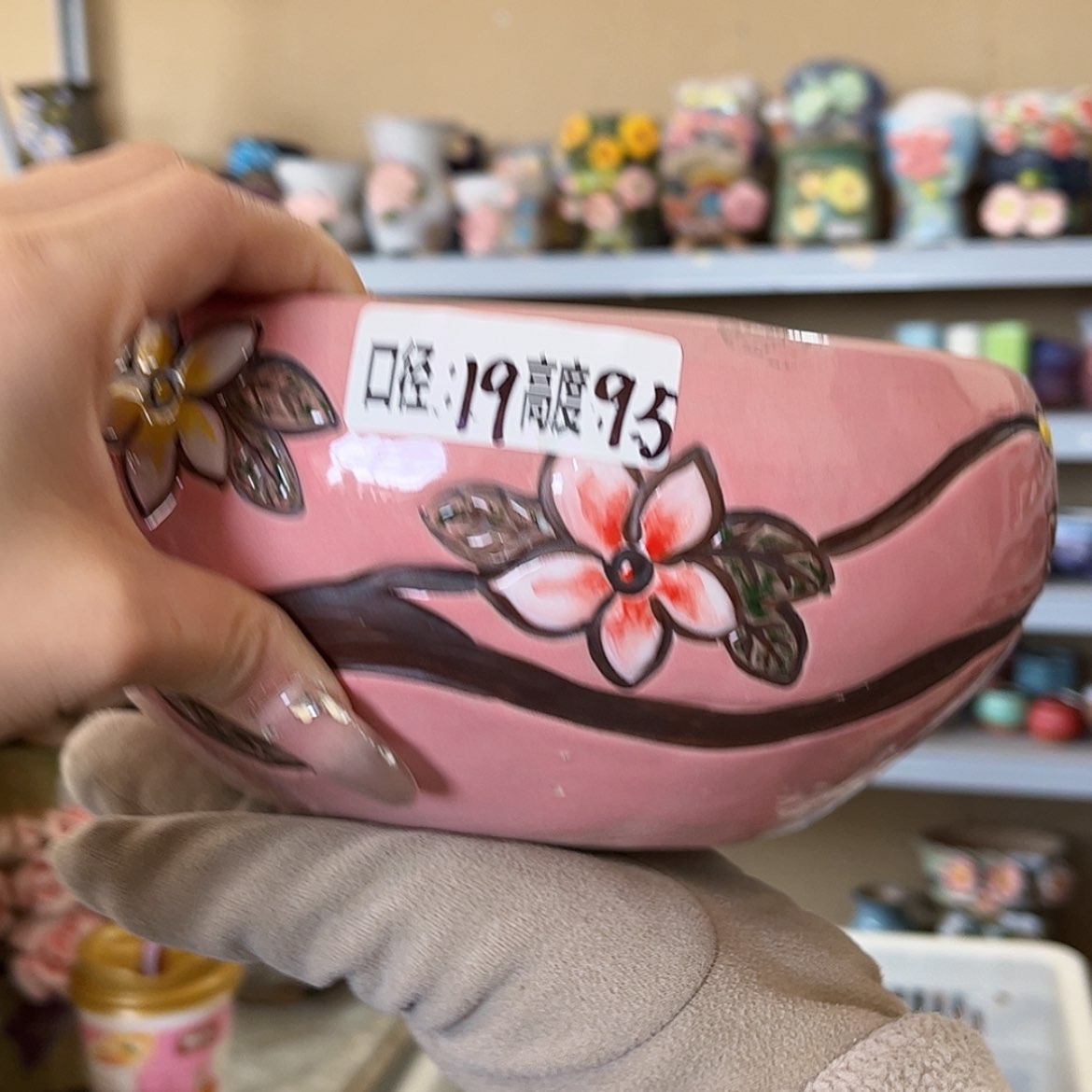 【闪购商品】红陶福利