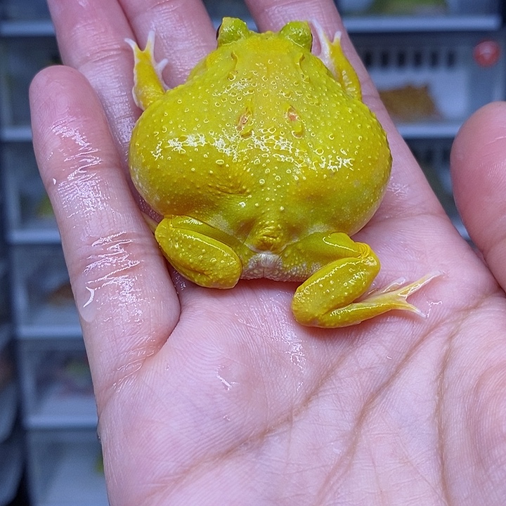 特价秒杀现货特价