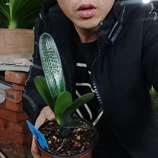 【闪购商品】完全开放