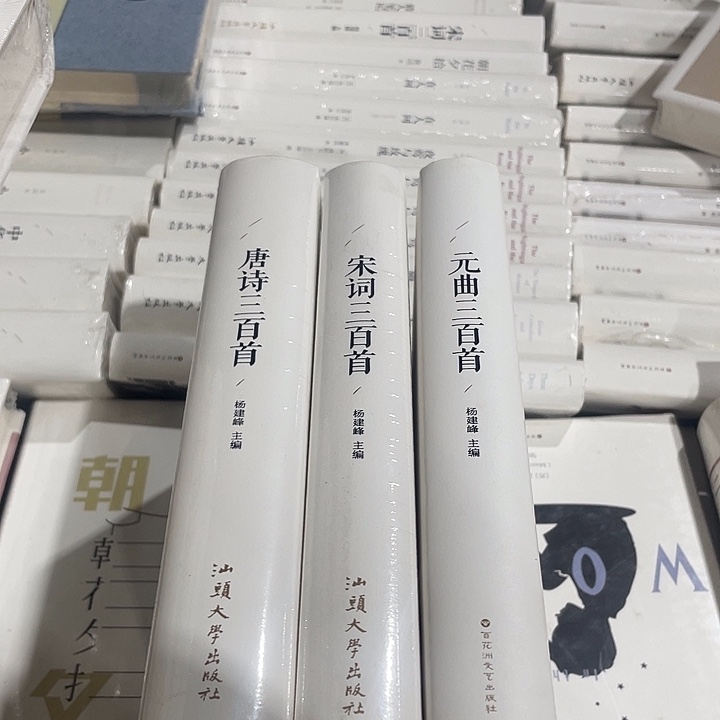 正版全新唐诗宋词原曲