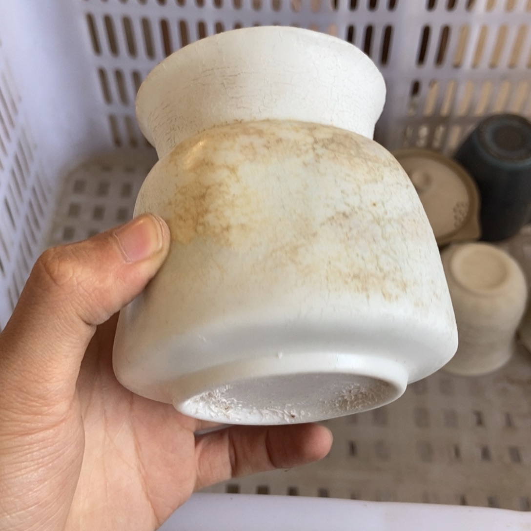 杯直播链接直播链接