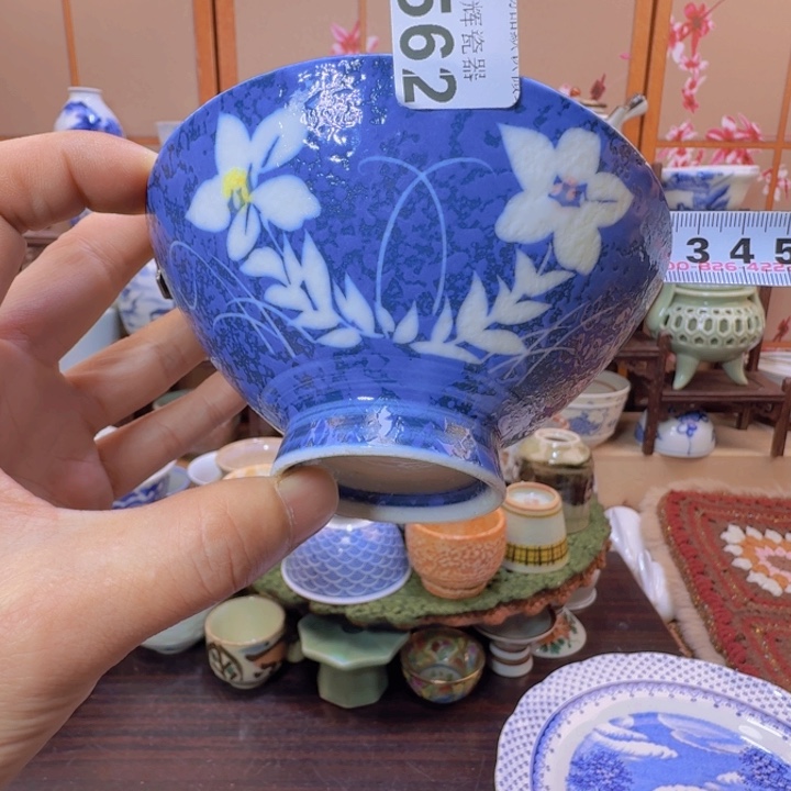 碟562啊啊啊啊啊啊啊啊啊啊啊啊