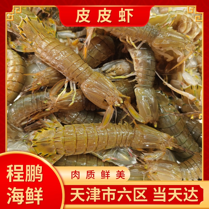 【保鲜不包活】渤海湾本地皮皮虾15条左右