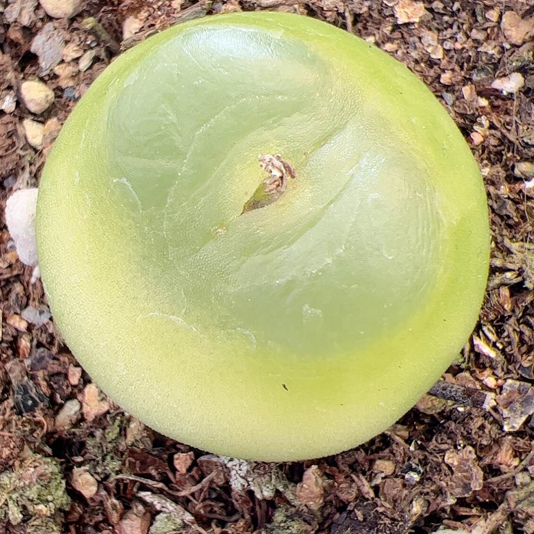 【闪购商品】282 福利