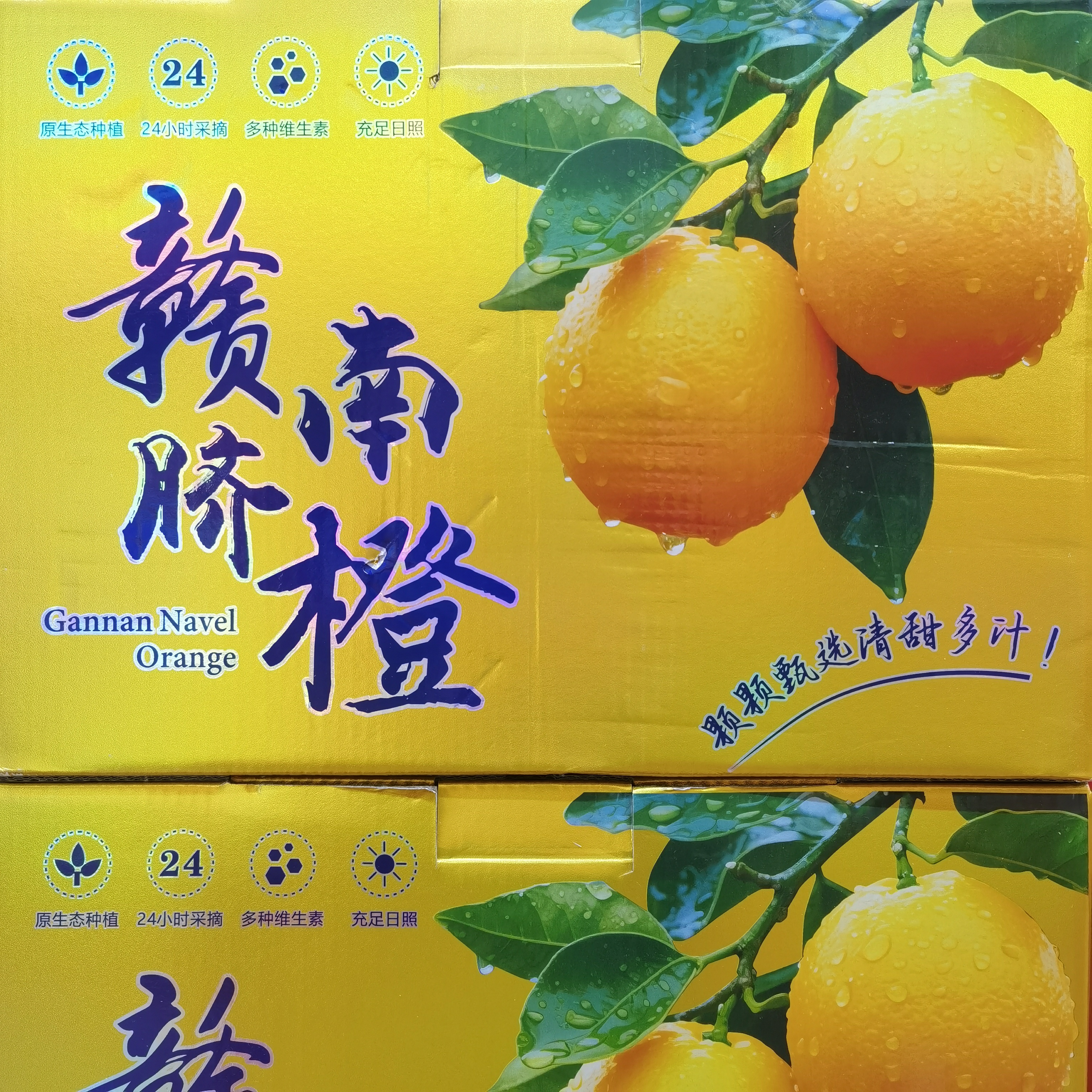 【京东次日达】正宗赣南脐橙礼盒装 香甜多汁 香甜可口 