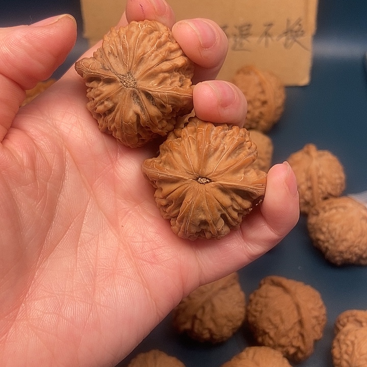 不***弃大大大大大大磨盘