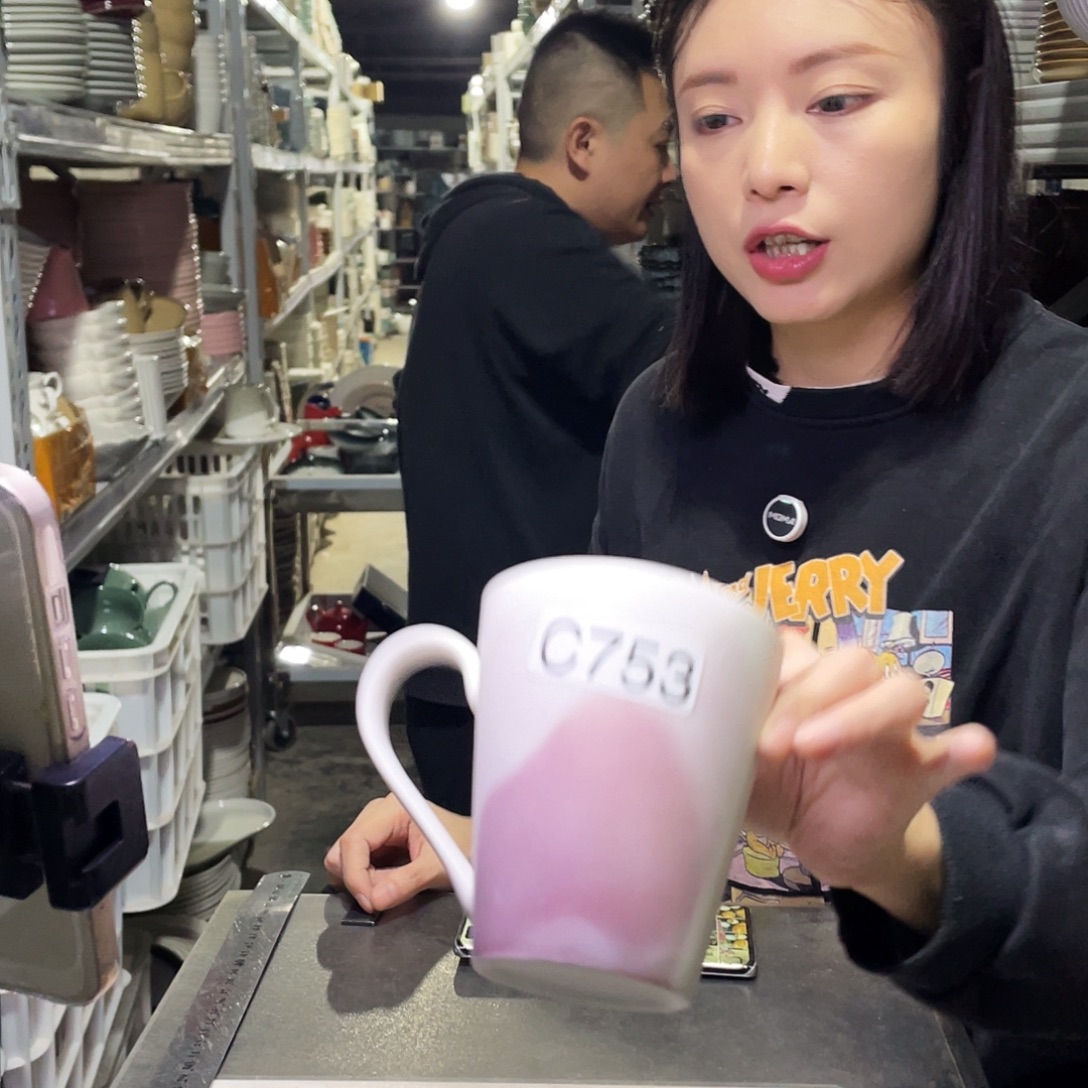 瓷片753          2个