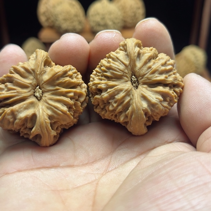 完全开放黎****?南疆石