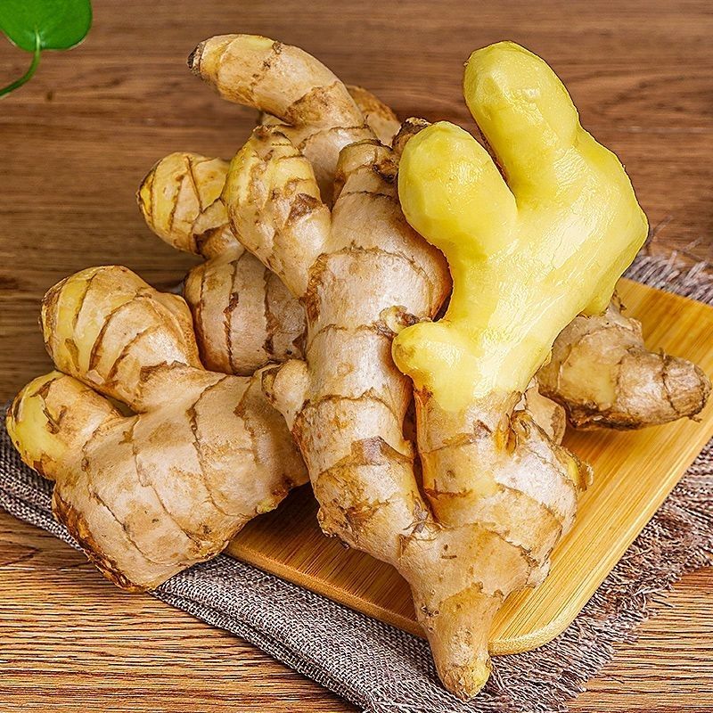 【小黄姜】一年老姜辣味食用农家姜新鲜窖洞姜三斤
