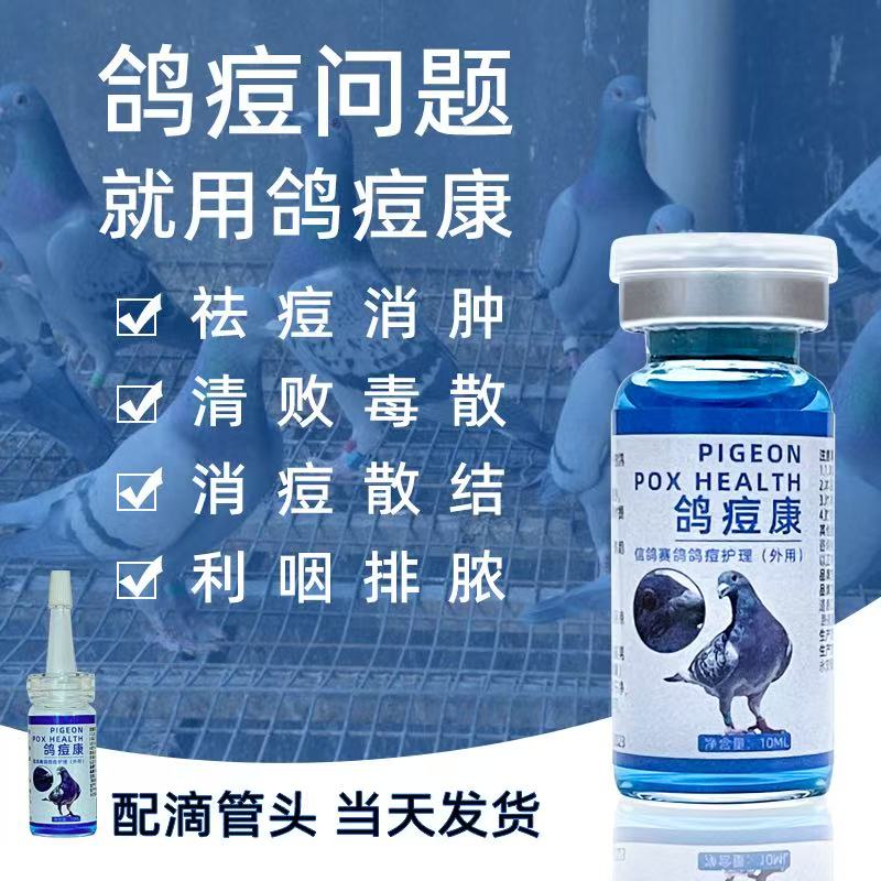 鸽痘专用鸽痘清眼角嘴上长痘脚趾翅膀长疙瘩赛鸽鸽子专用祛鸽痘