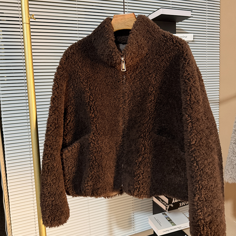 韩系立领100绵羊羔毛拉链冬季新款羊剪绒外套女短款时尚休闲宽松
