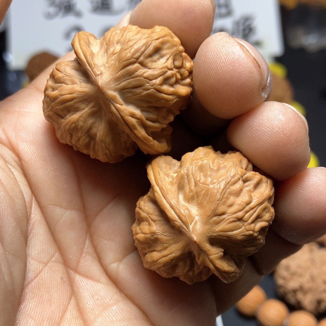 文玩核桃把件野狼8