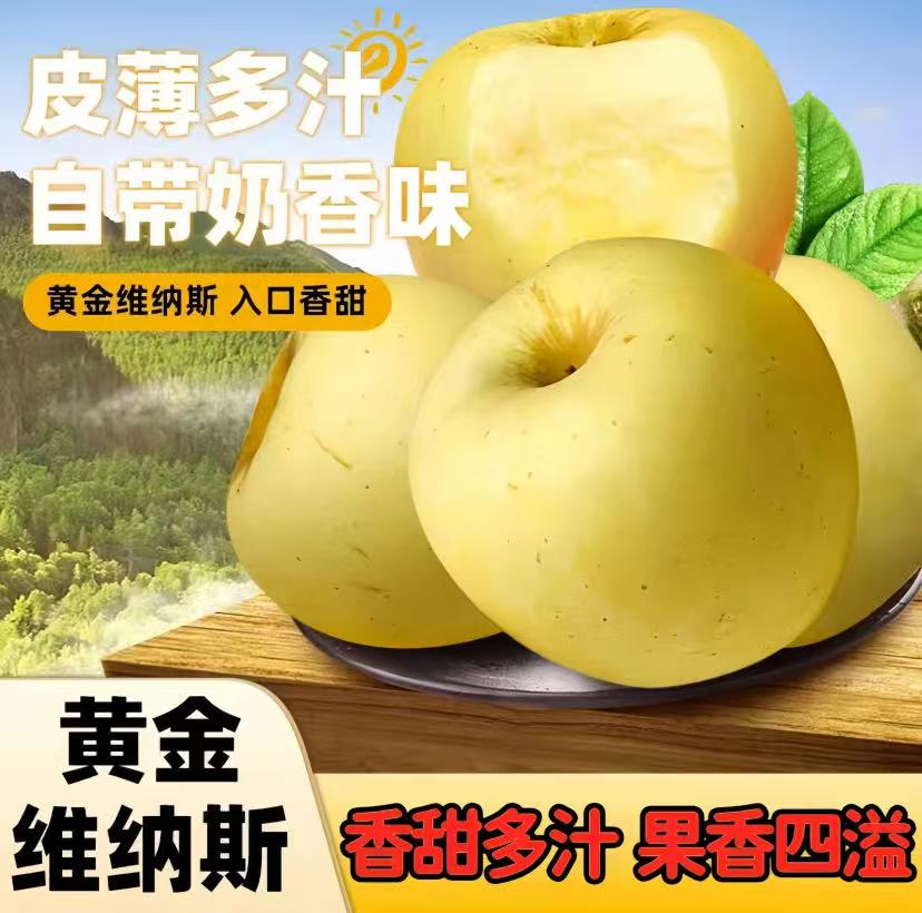 【高端年货礼品】正宗威纳斯苹果烟台奶油富士苹果冰糖心苹果