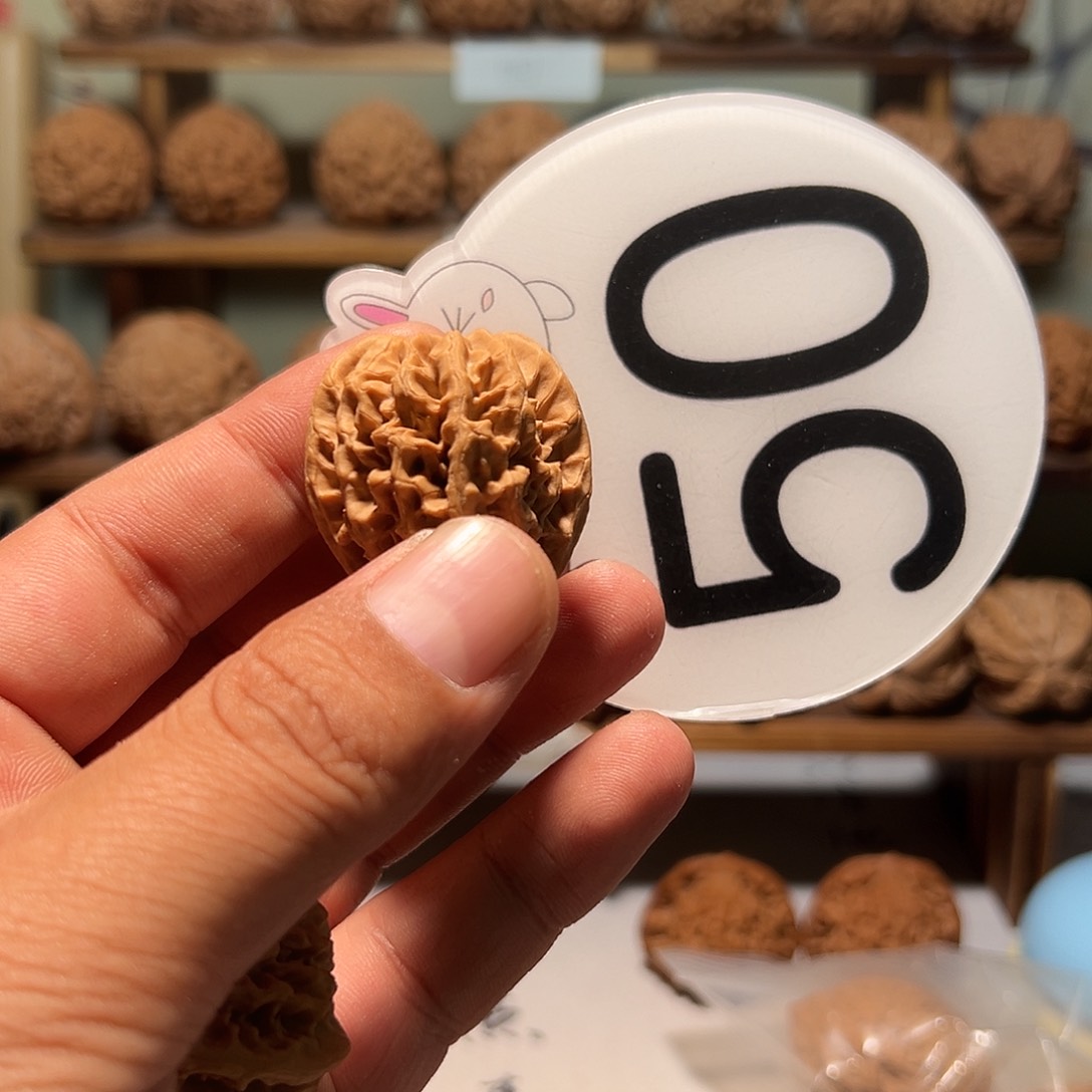 L*.文玩核桃，白色50号