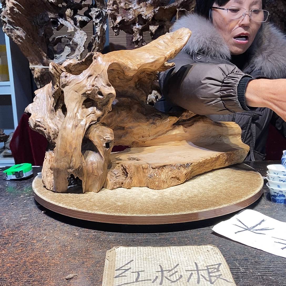 随***道198。株木随行根艺