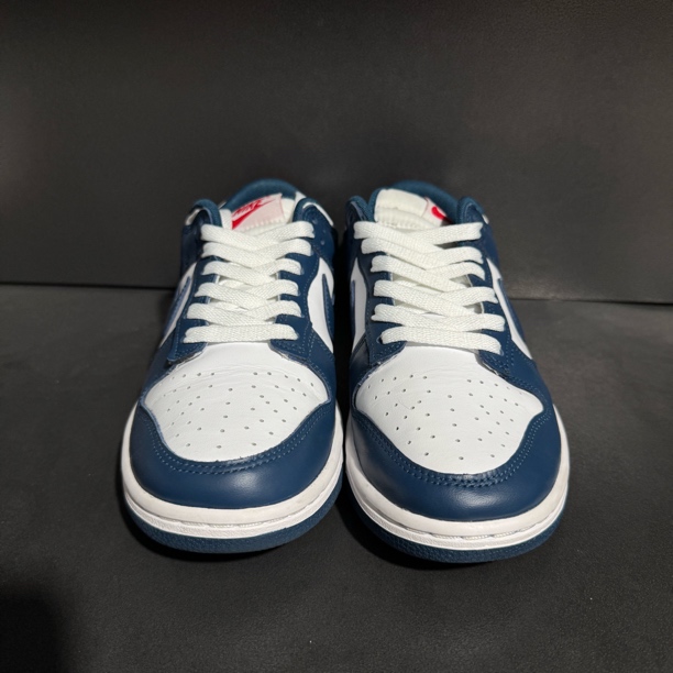 95新 Alexander McQueen/亚历山大·麦昆 39码/95新白蓝低帮板鞋