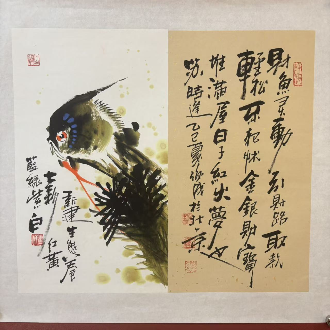 Y1吕俊成老师一平尺神仙鱼