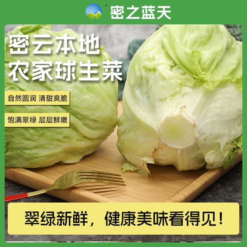 【球生菜】密之蓝天密云本地农家种植新鲜现摘球生菜400g生菜