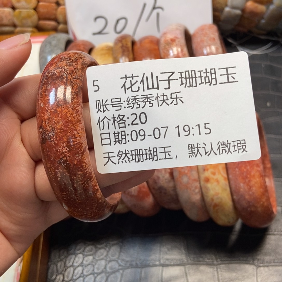 绣***乐未镶嵌硅化珊瑚（珊瑚玉）珠宝半成品5